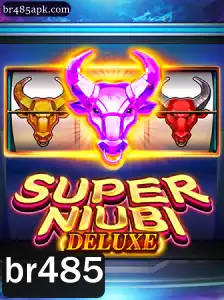 Explorando o Mundo de SuperNiubiDeluxe