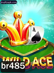Explorando o Fascinante Mundo de WildAce: Um Jogo de Estratégia e Aventura